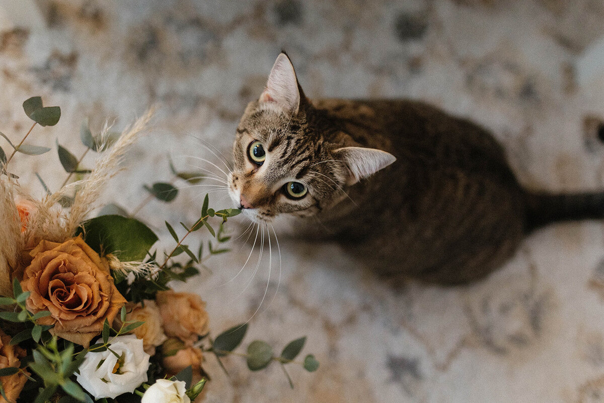 Ottawa wedding photographer78