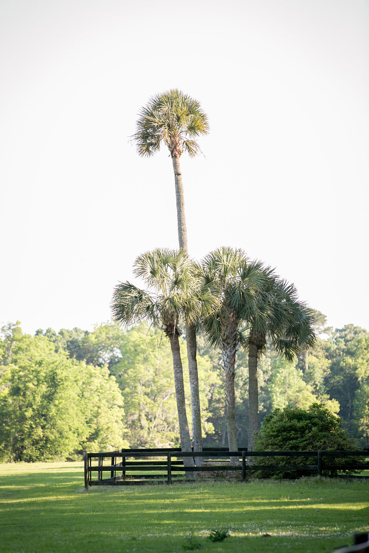 0255-Boone-Hall-LEO-Carmen-Ash