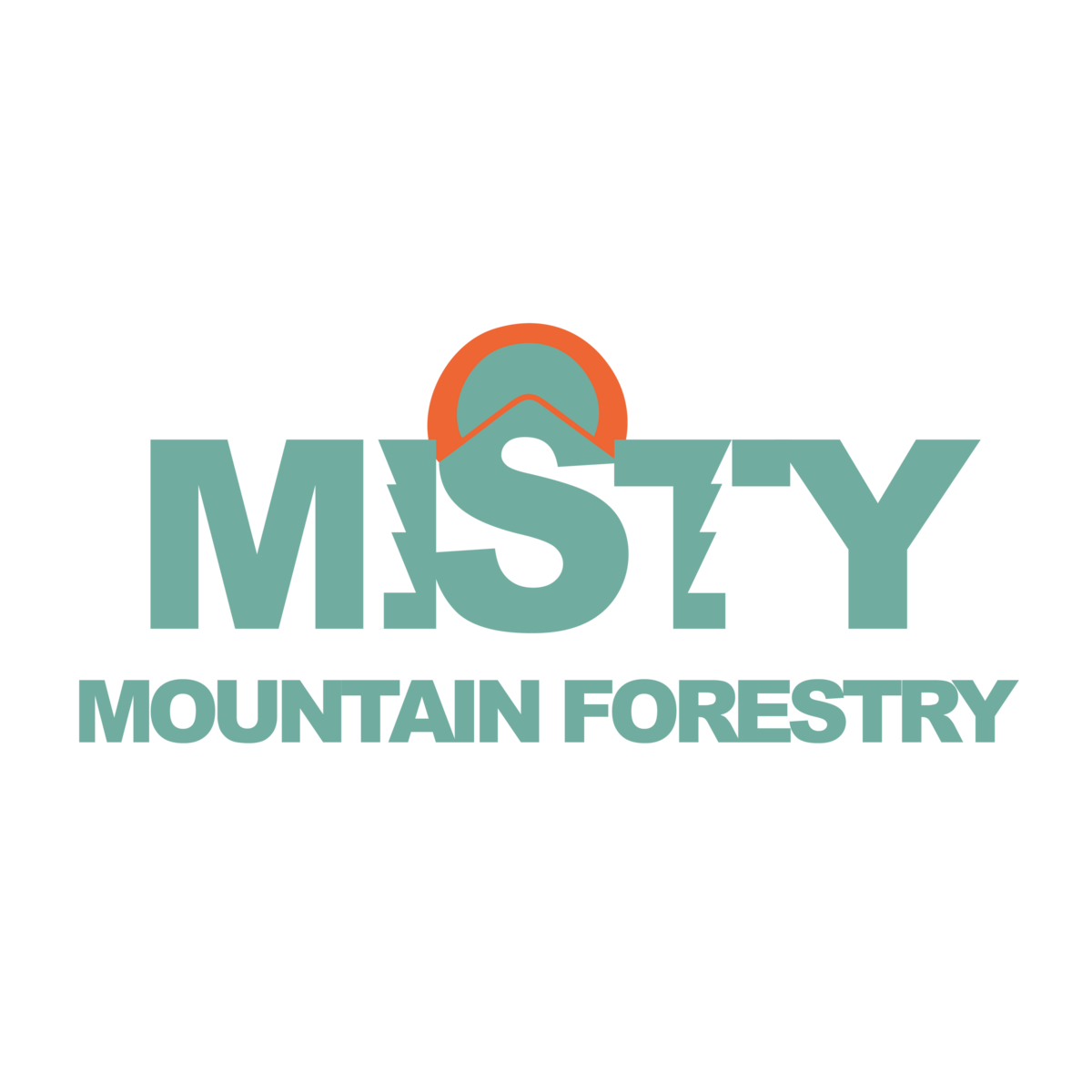 Misty Mountain Forestry 1