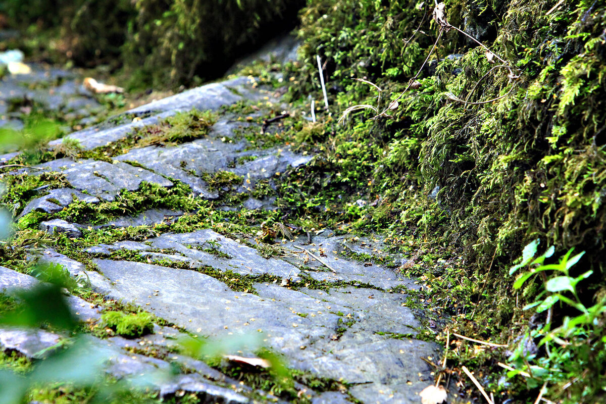 LES - Worn stone path 1 v2