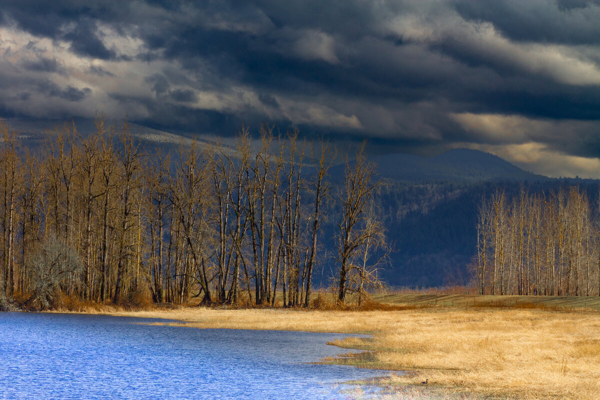Steigerwald_refuge_9157