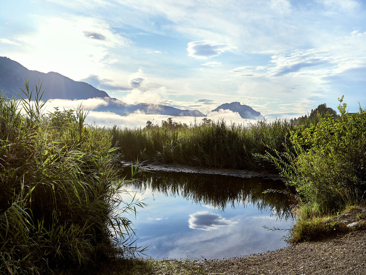 Stimmungsvolle Uferaufnahme am Pressegger See mit Wasserreflexionen und Blick auf die Karnischen Alpen – atmosphärische Landschaftsfotografie von Fotograf Atelier Schulte aus Kärnten.