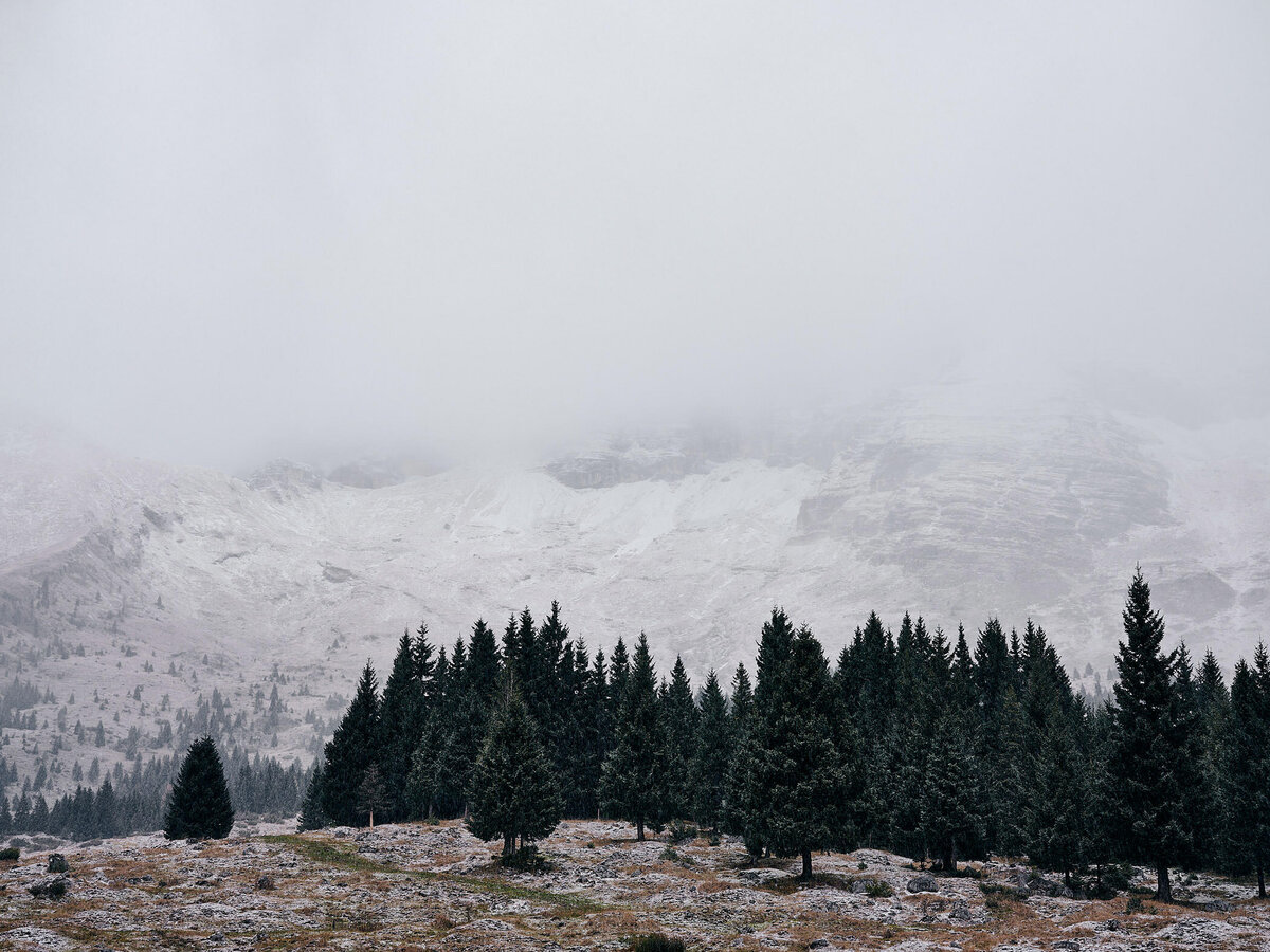 Tannenwald unterhalb eines schneebedeckten Bergmassivs im Nebel – ruhige, reduzierte Landschaftsaufnahme mit winterlicher Stimmung