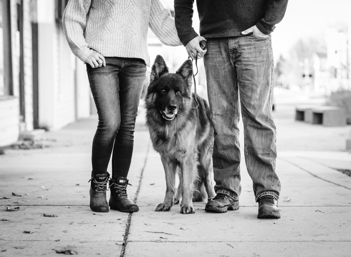 Black-and-white portrait of a couple holding hands with their dog, captured by Leslie Q Photography