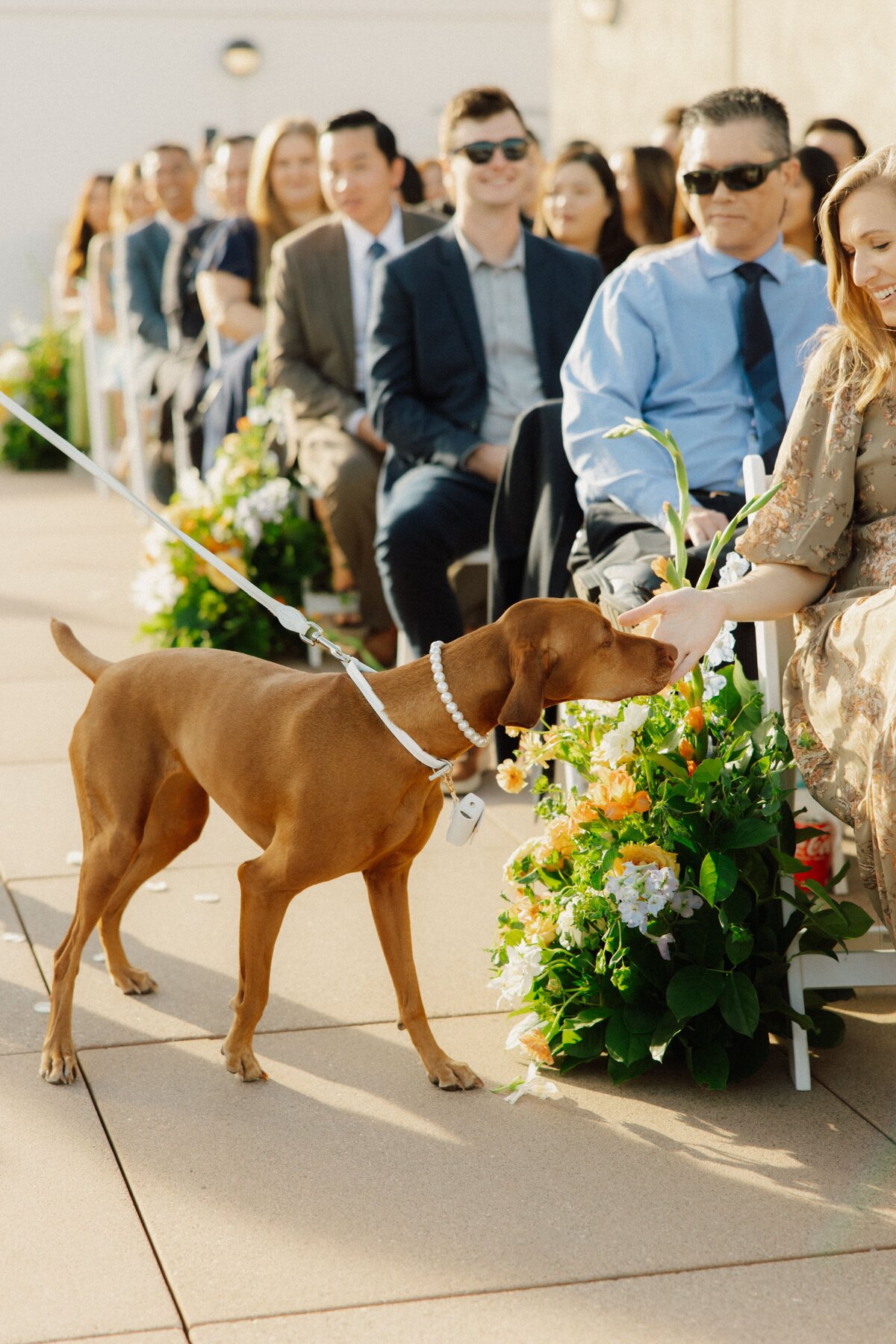markanddianewedding-196-min