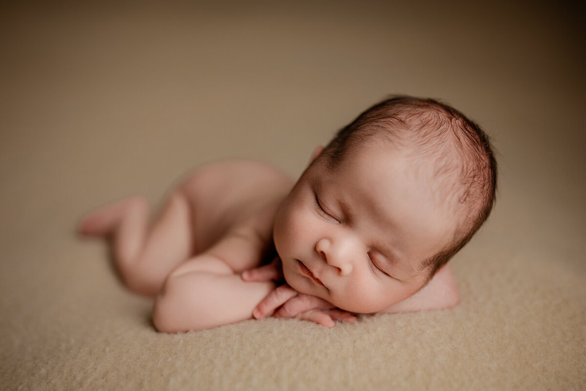 NWA newborn photographer, newborn portraits NW Arkansas