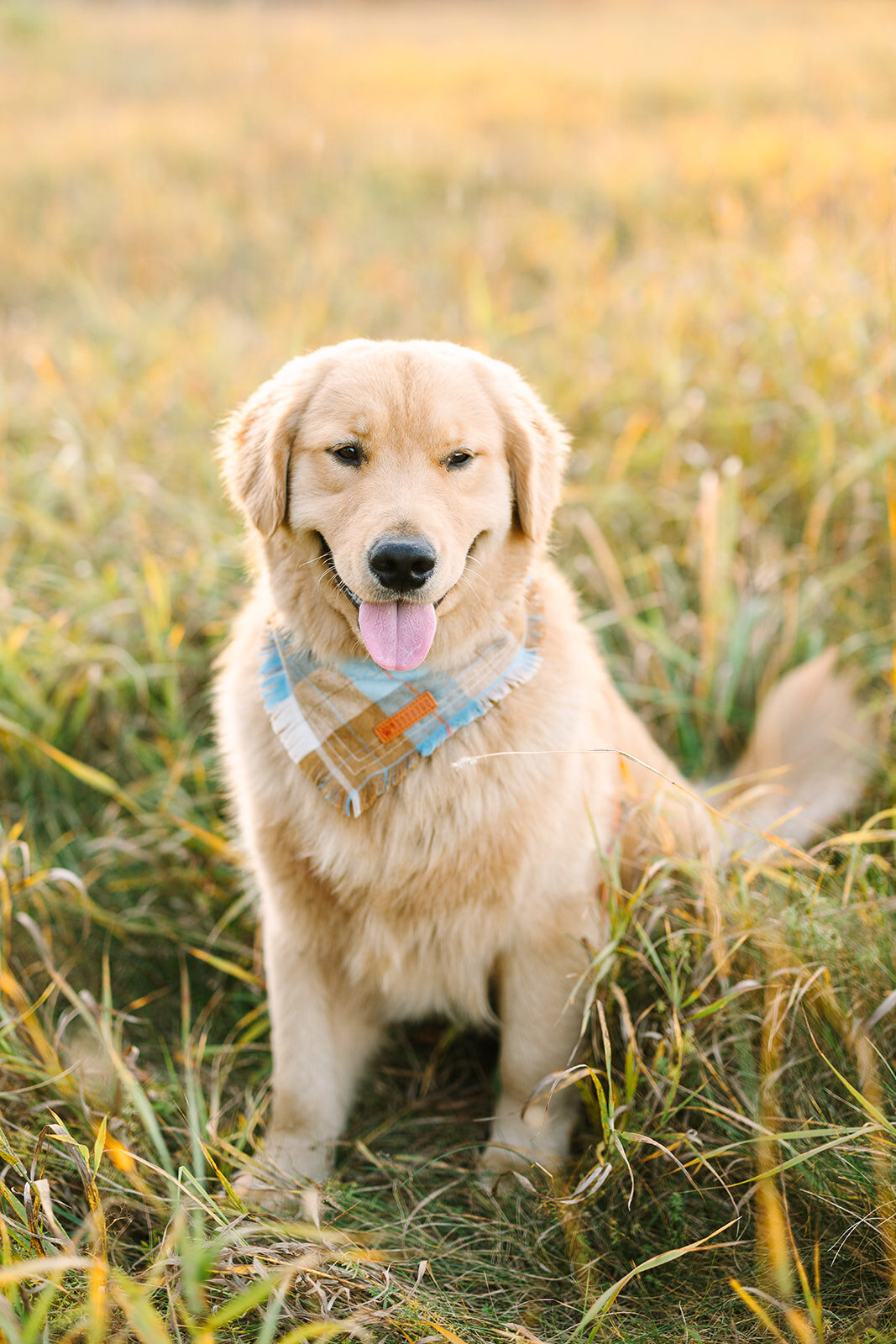 taylapaigephoto-AE2024-103