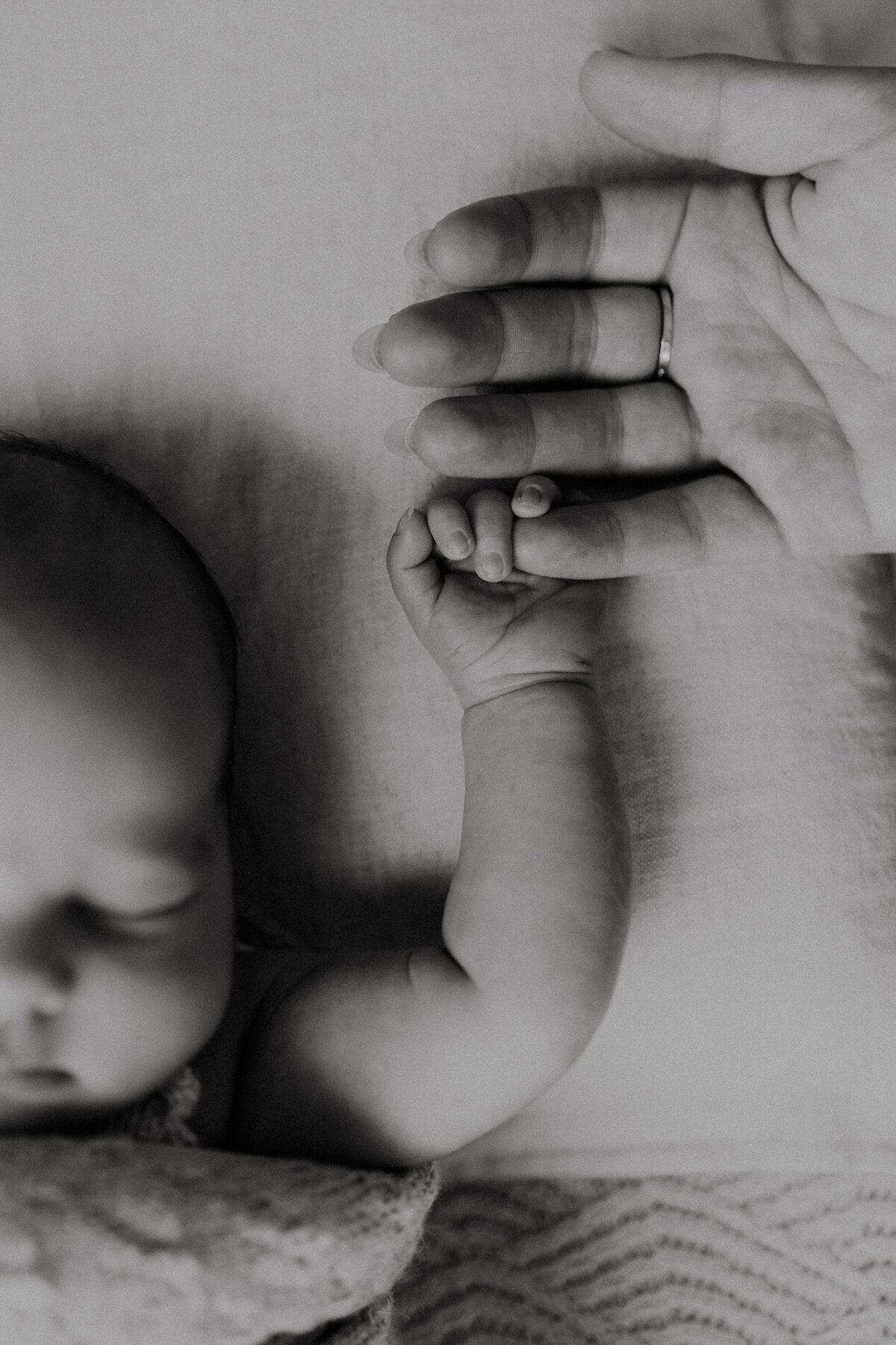 central-coast-newborn-baby-photos-willow-and-rose-42