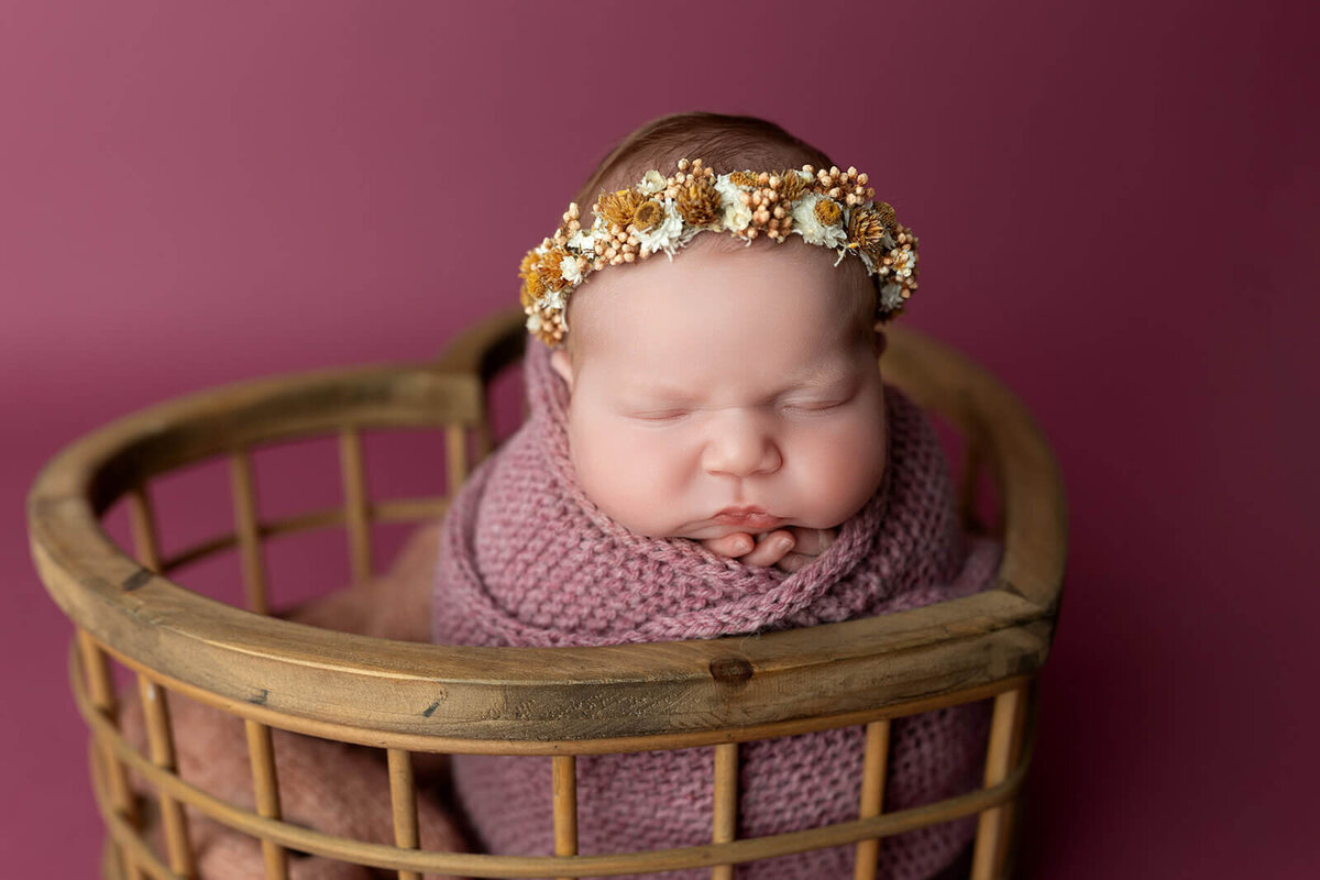 york-newborn1686