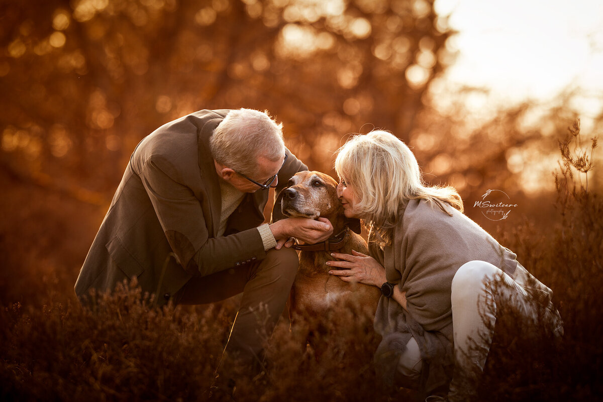 Ook oudere honden verdienen een fotoshoot. Deze fotoshoot ging door bij zonsondergang in de Kesselse Heide te Nijlen. 