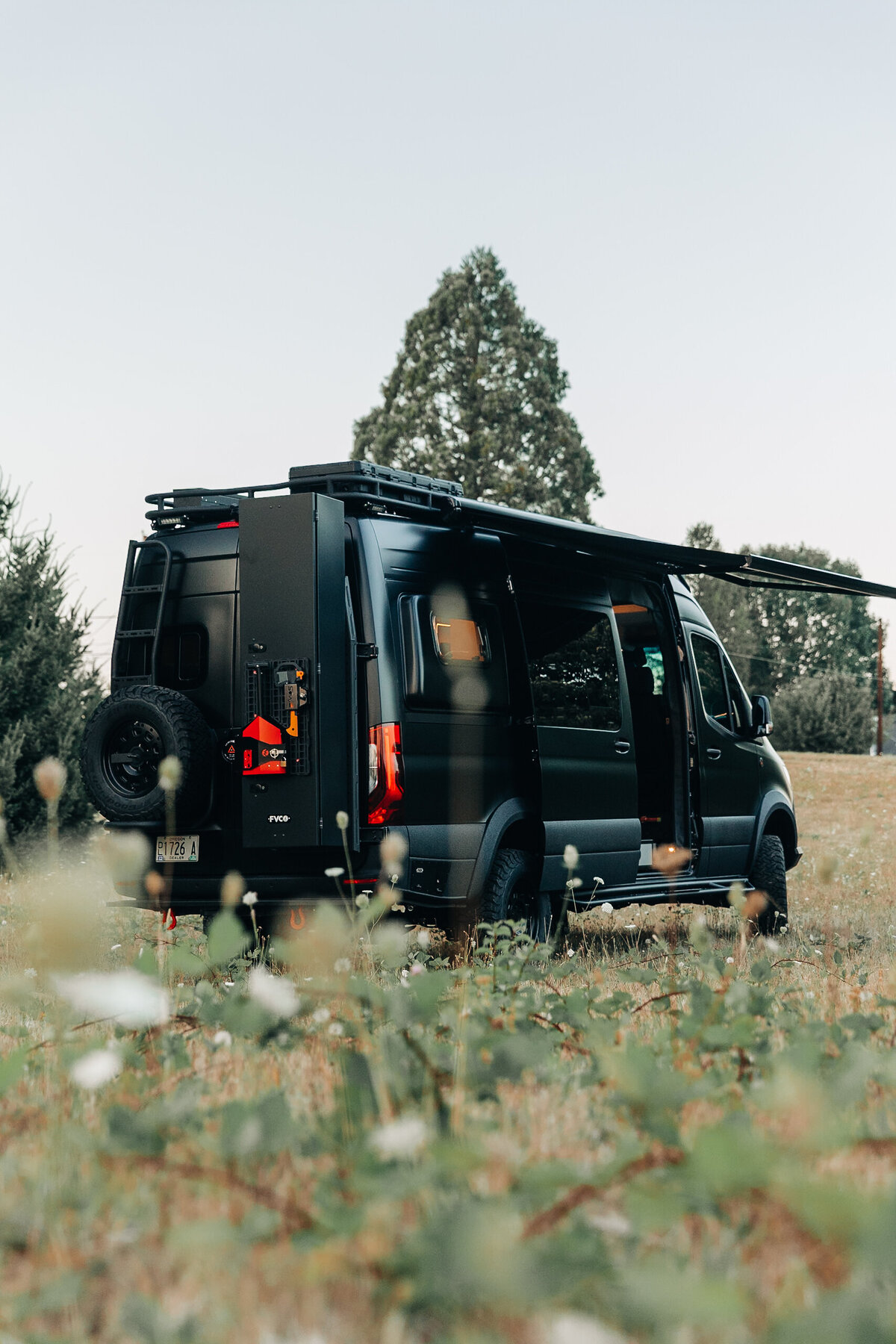 1_WooleyBugger250829_BMV_SlowFastcreative_1972