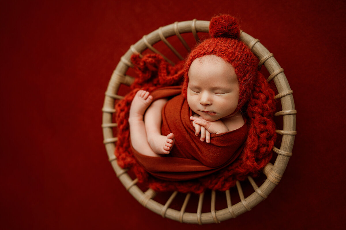 newborn photography north al