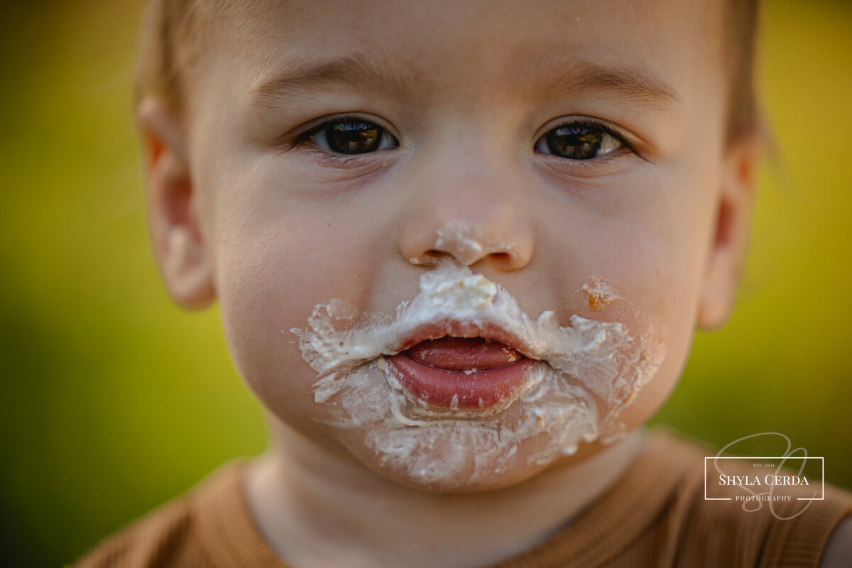 first birthday photoshoot