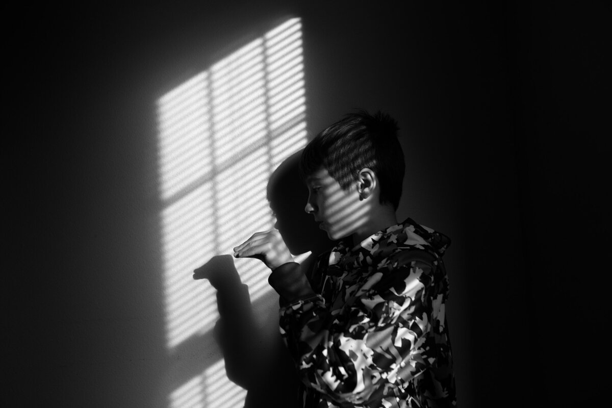 shadow puppets on the wall