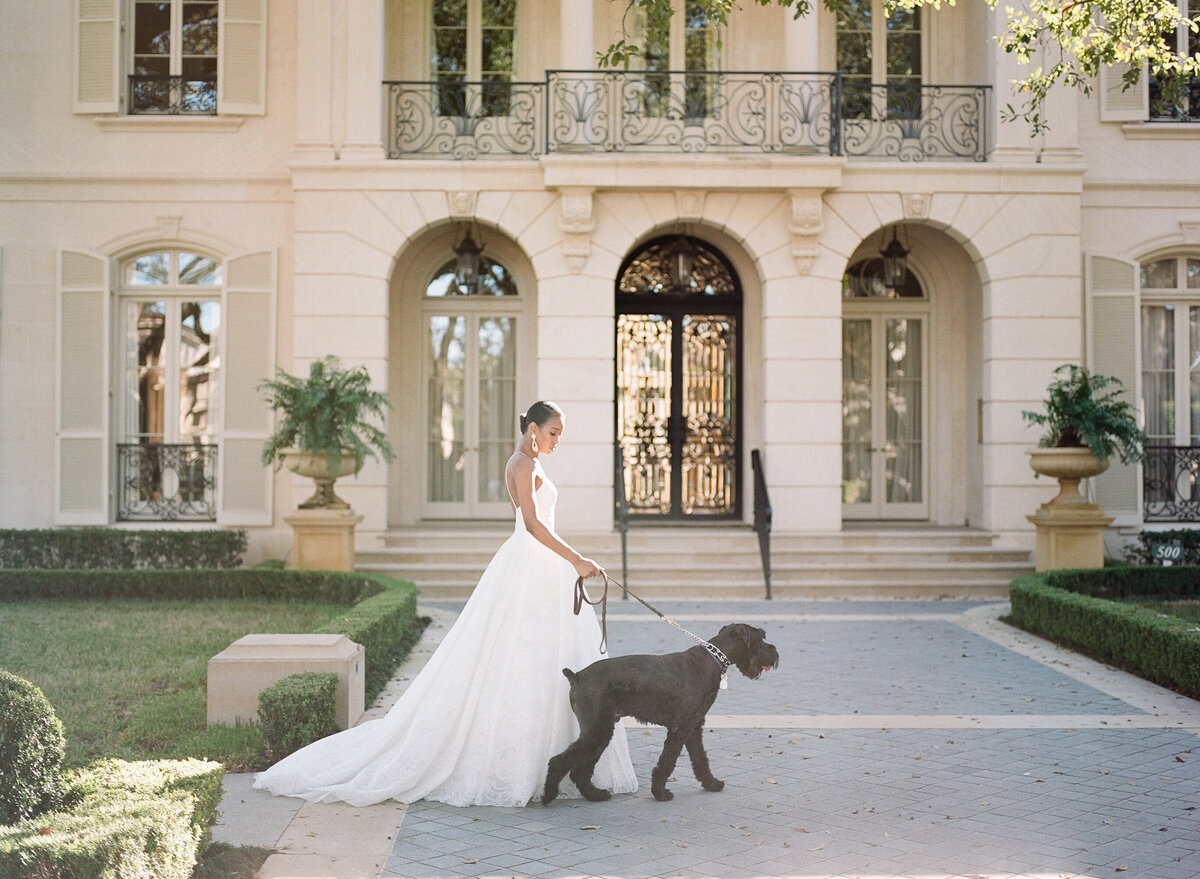 Mo Davis Best Wedding Photographer in  New Orleans Elegant bride in a white wedding gown walking a Giant Schnauzer in front of a grand European-style mansion with arched doors and manicured landscaping.