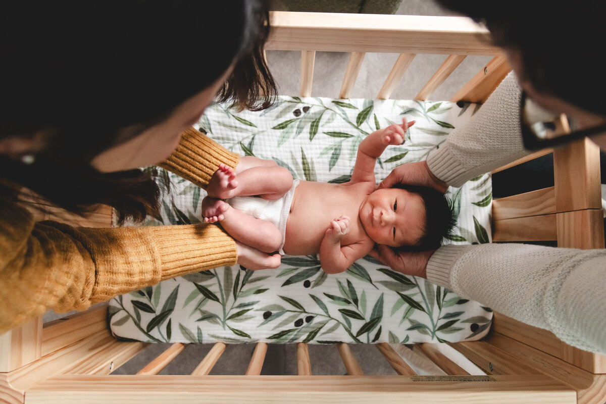 Elizabeth Priniski Madison Birth Newborn Photographer-5
