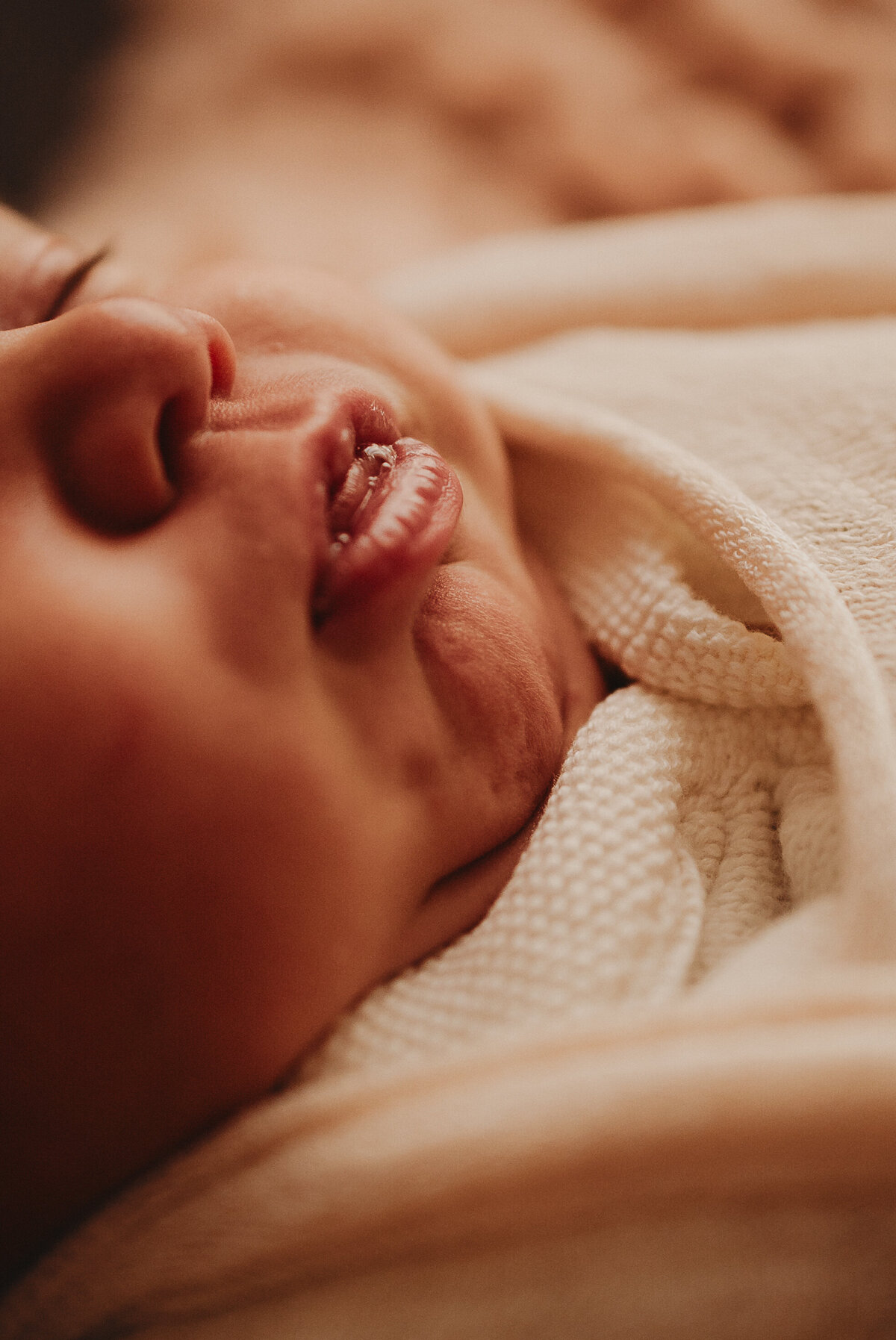 bruner-newborn-bismarck-studio-4453