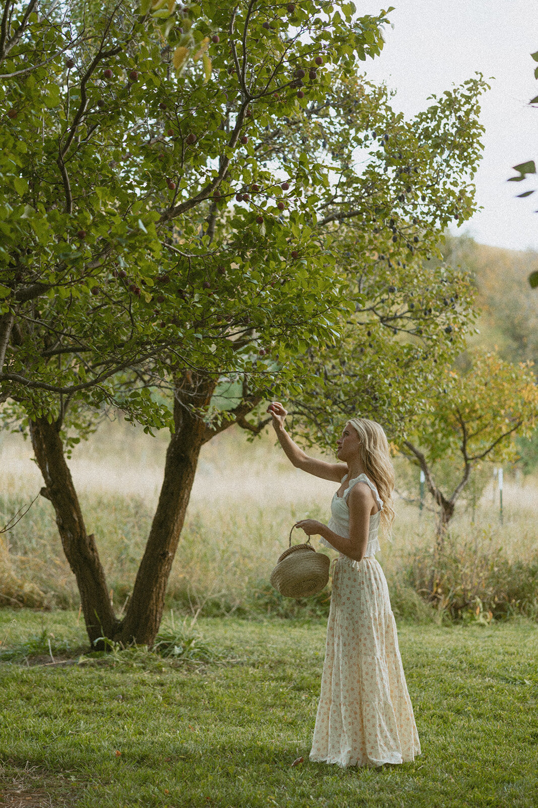 tanya-davids-photo-film-documentary-idaho-utah-oregon-washington-colorado-wedding-elopement-portrait-photographer-intention-session-apple-orchard-60