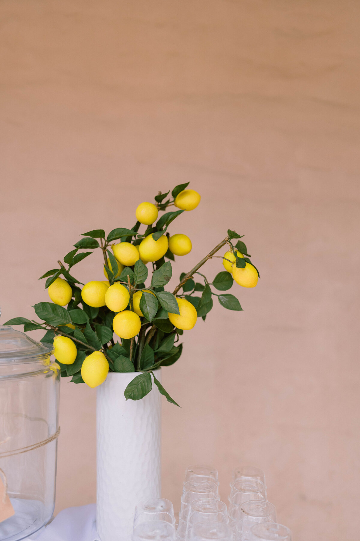Santa Barbara Wedding Photographer 8