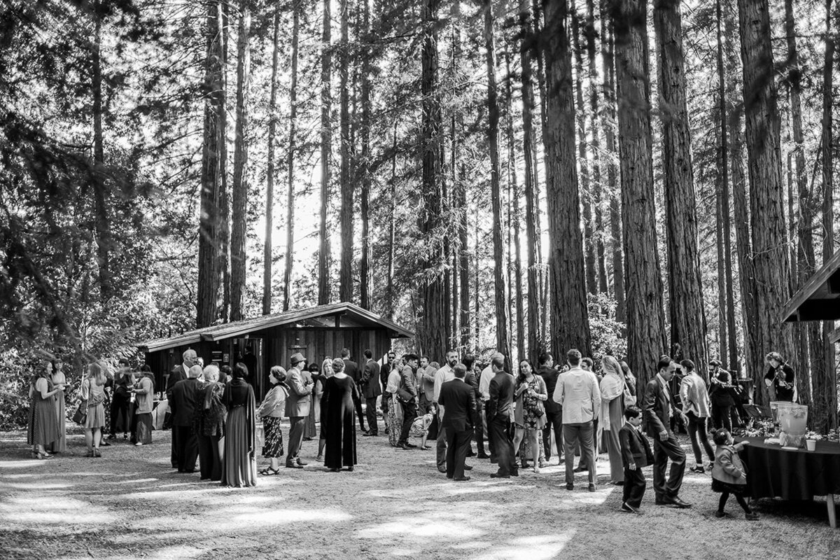 Sequoia-Retreat-Center-Romantic-Woodland-Wedding-8