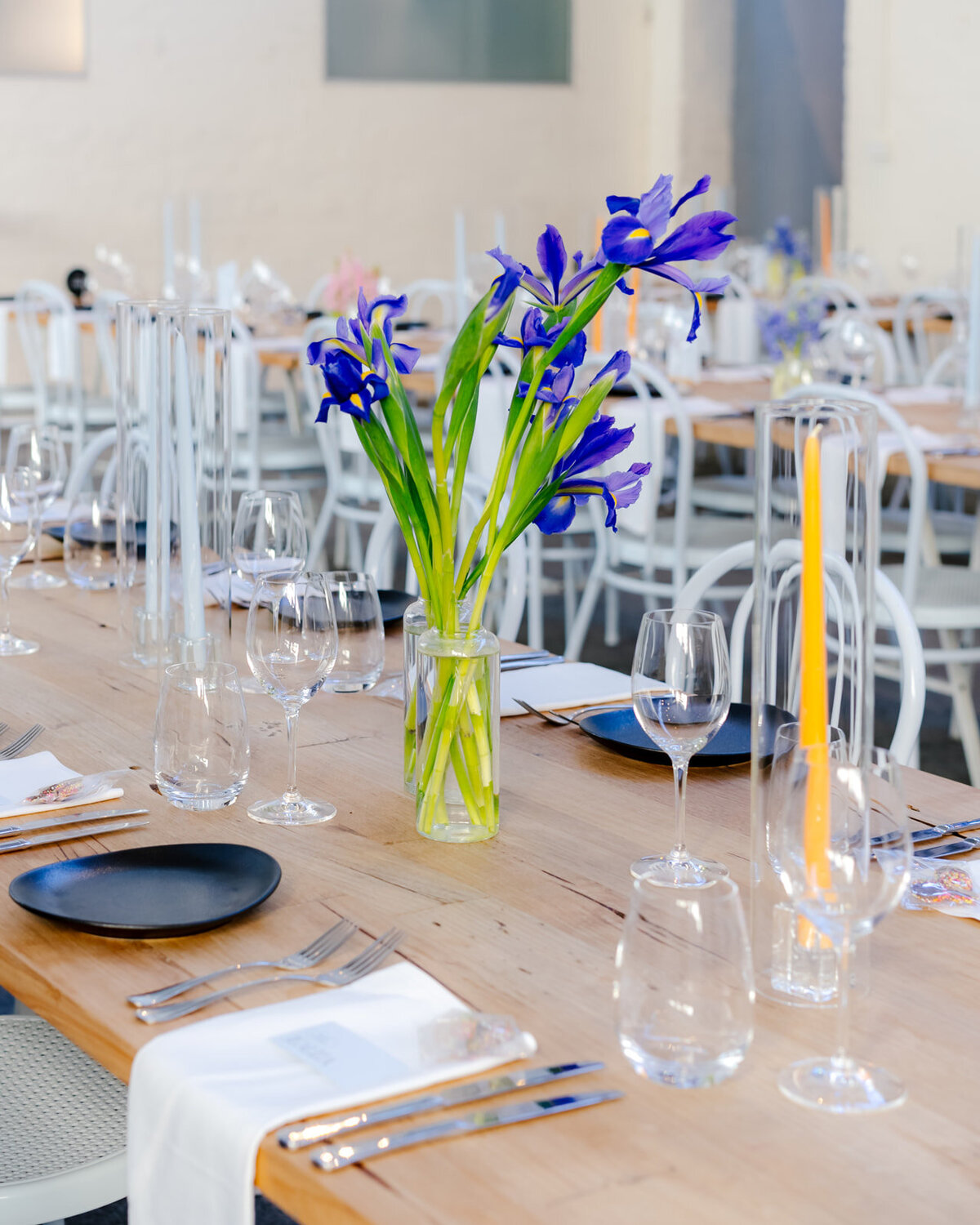 Cameron & Emanuel-439_websize