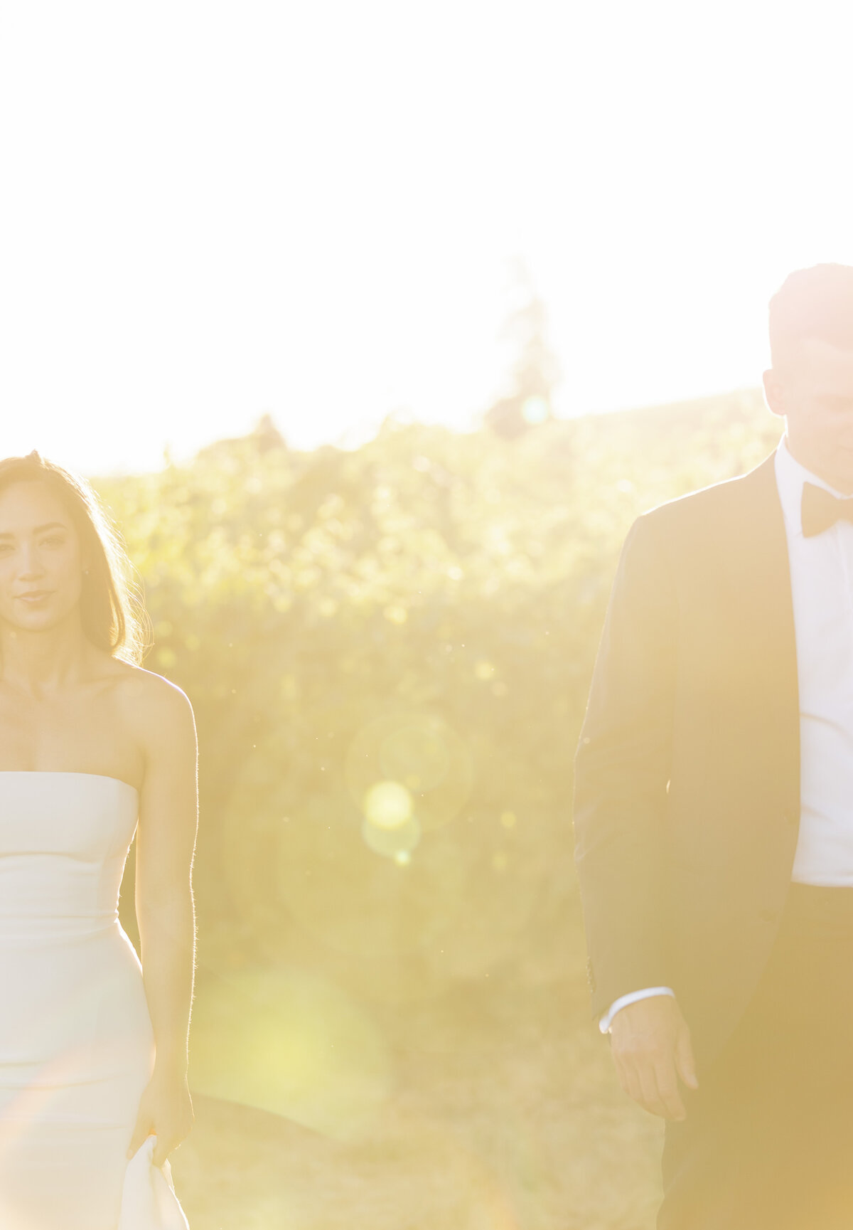 furioso-vineyard-wedding-543