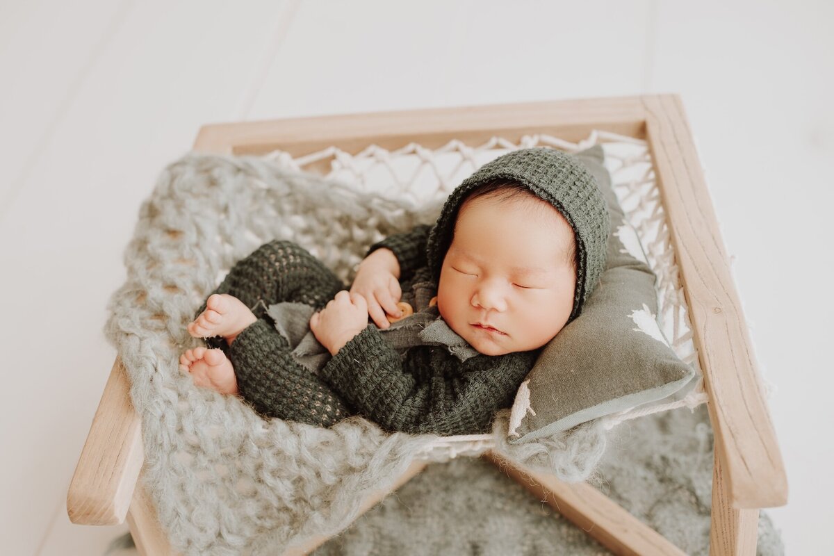 Sacramento, Elk Grove, Florin, Vineyard, Roseville, Davis, Rancho Cordova, East Sacramento, Cameron Park, Folsom, Antelope Newborn Photographer, Baby Photographer, A Little Goose