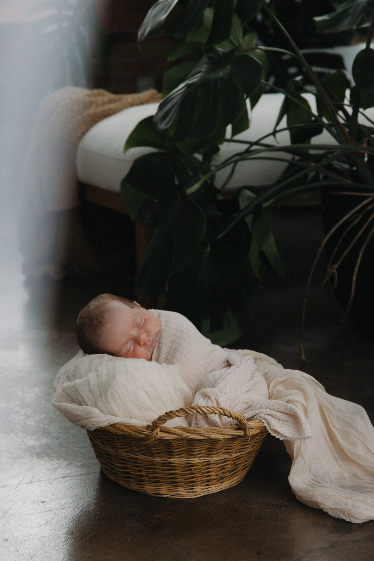 Newborn-2