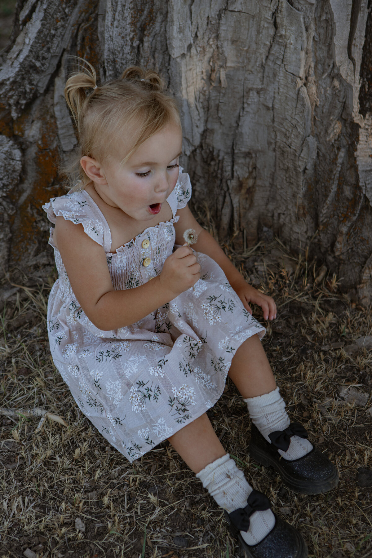 Sadie&Fam-64