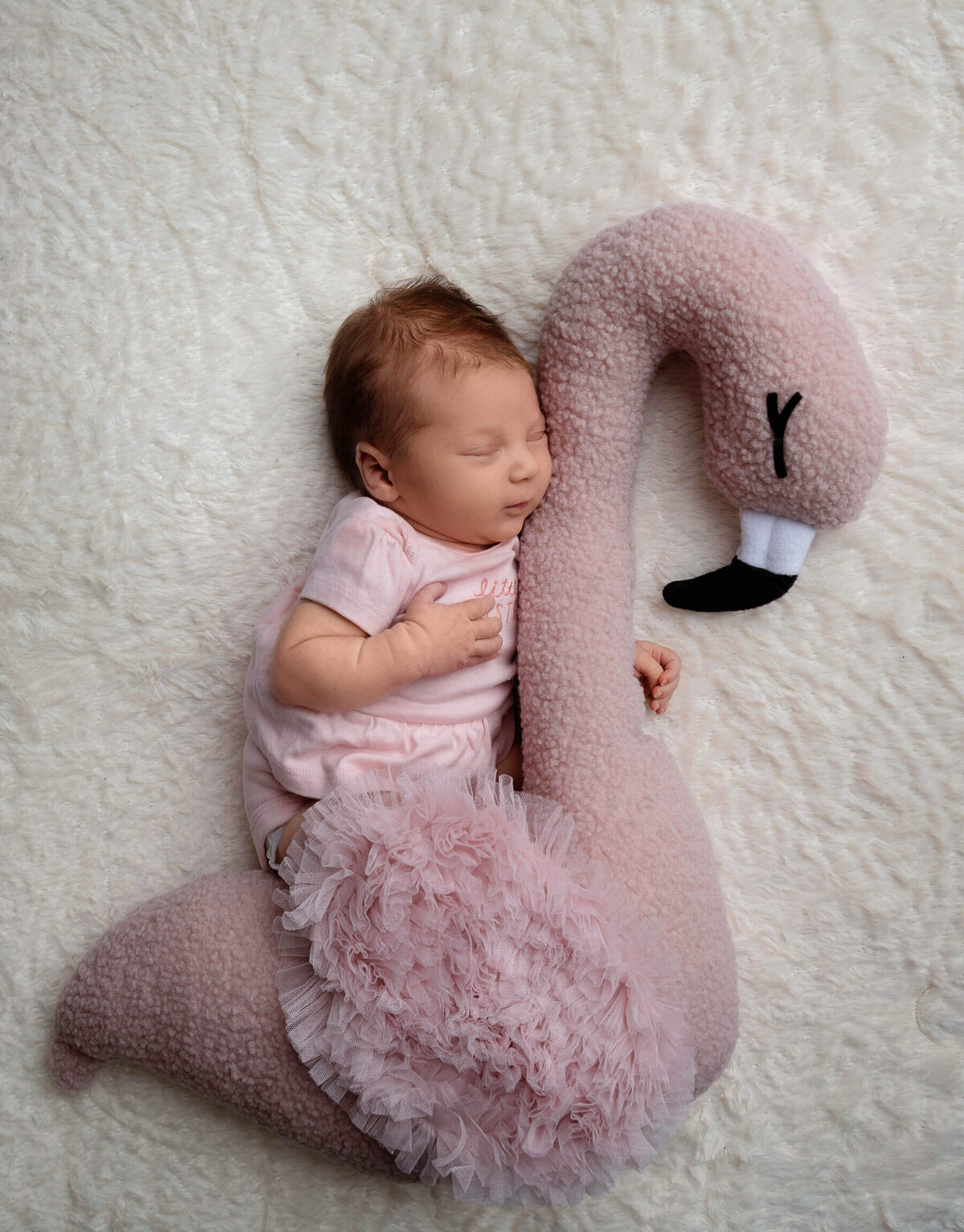 studio-newborn-photography-alabaster-photos-25