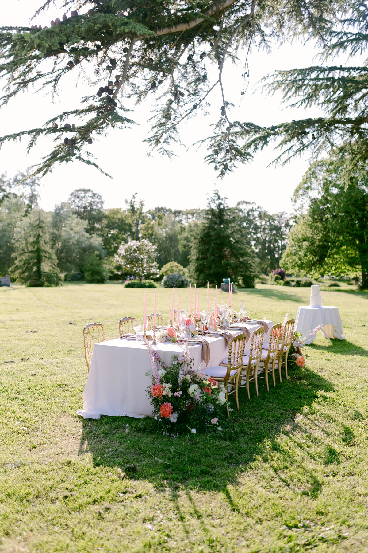 will-valeria-des-monts-9434