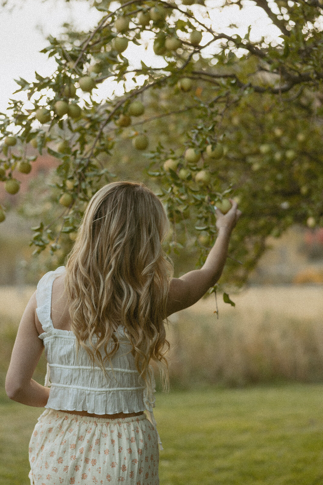 tanya-davids-photo-film-documentary-idaho-utah-oregon-washington-colorado-wedding-elopement-portrait-photographer-intention-session-apple-orchard-66