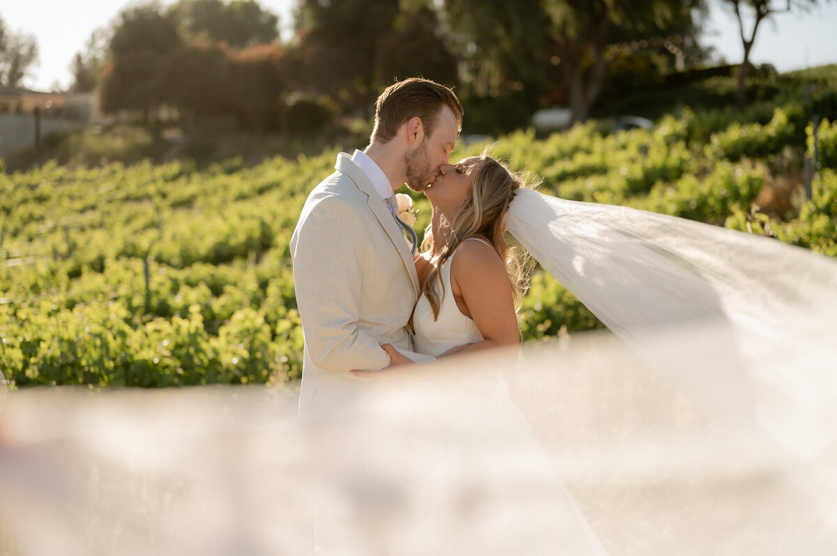 abstillsphotography_weddingelopementphotographer-066