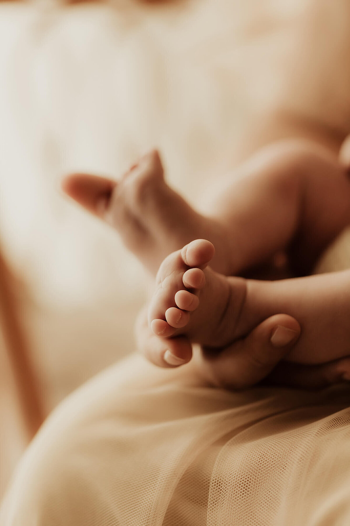 Newborn baby girl feet.