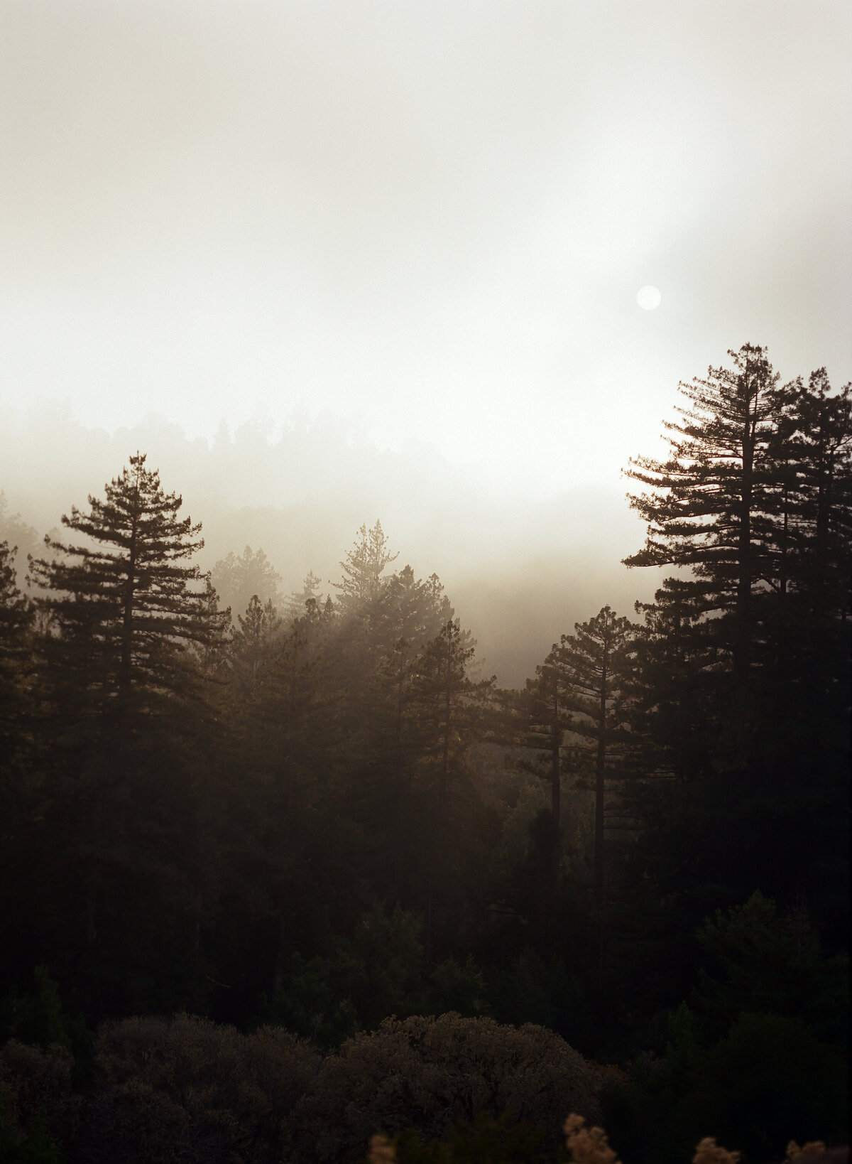 DT-2025-Kelcie&StevenPreview-16