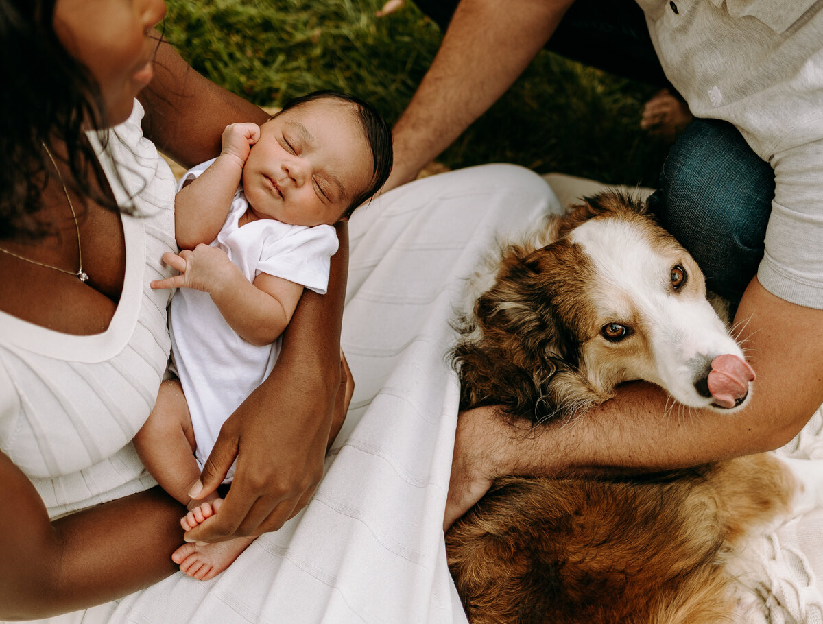 los-angeles-newborn-photographer-37