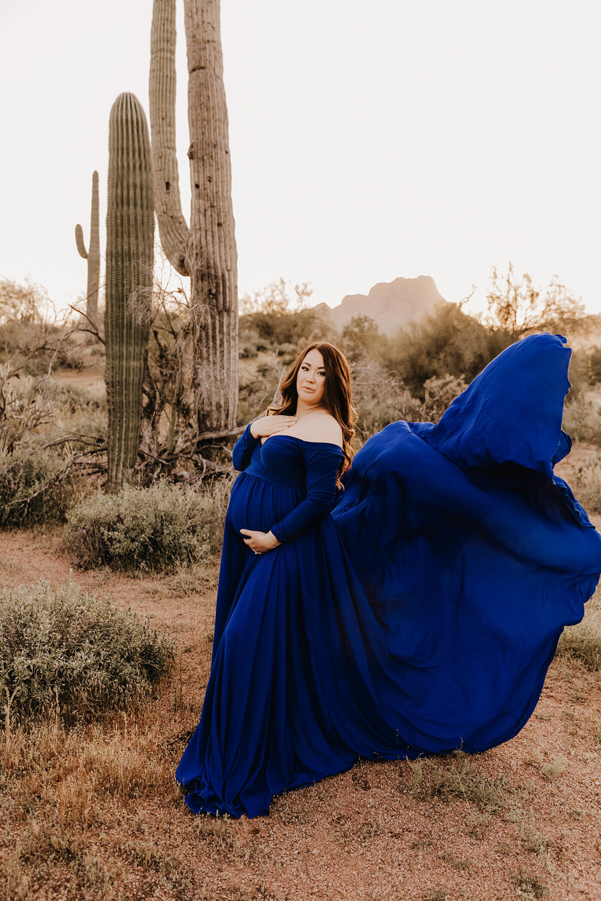 phoenix outdoor maternity portrait session