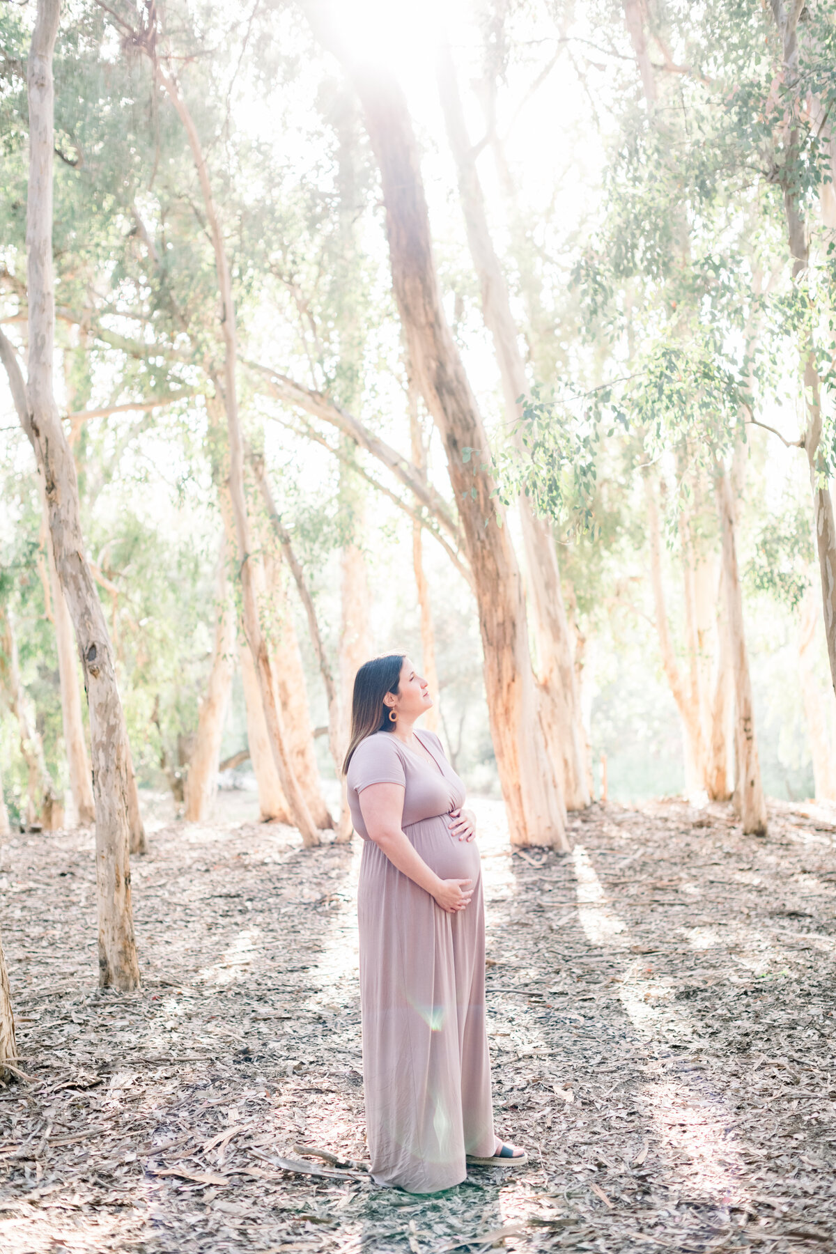 2021 Spring Maternity Photoshoot Ideas - Rent Maternity Gowns