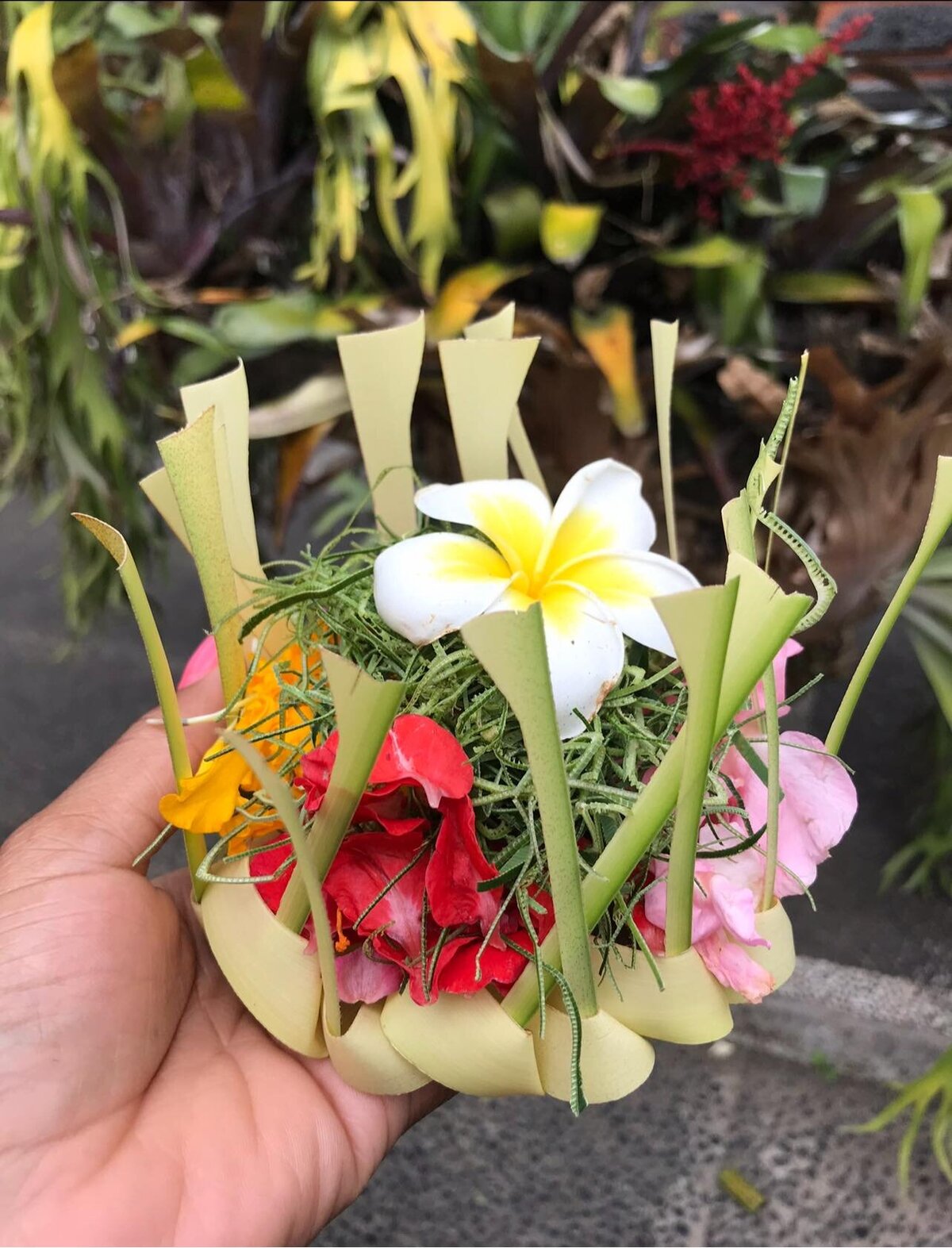 Bali 13