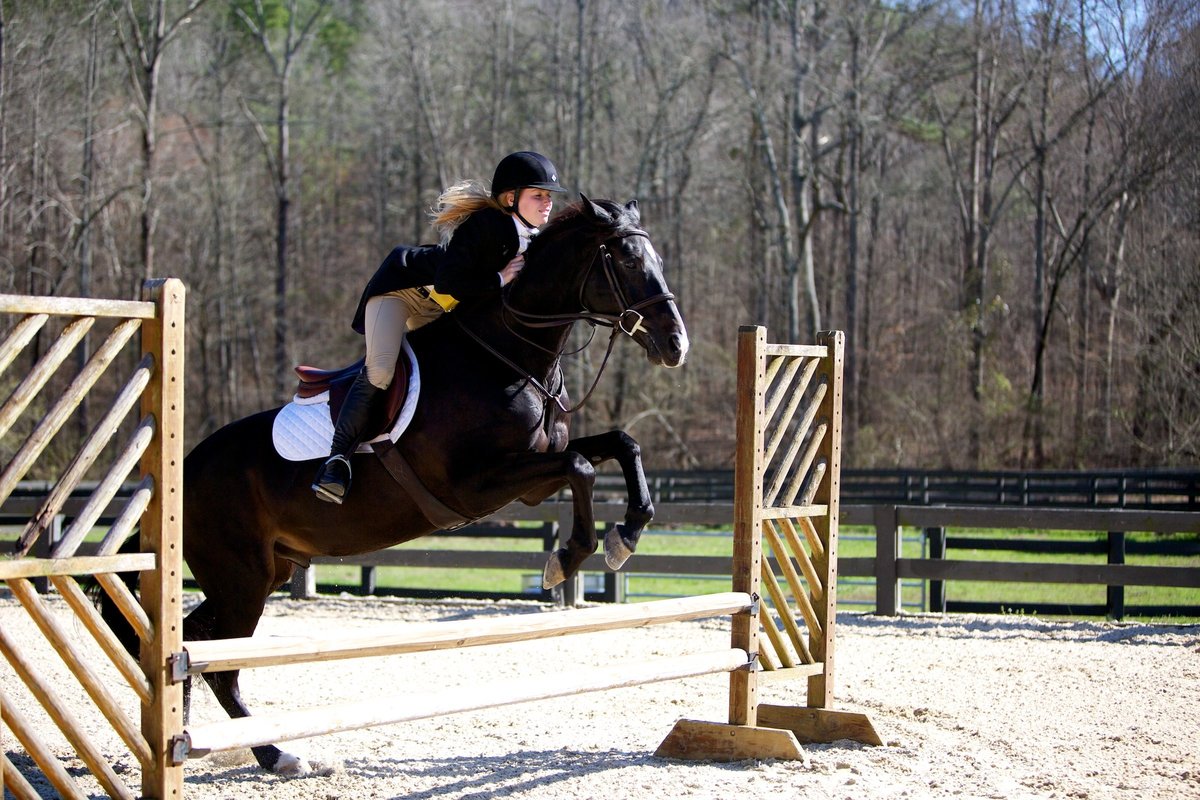 Windwood Equestrian - Alabama Riding School