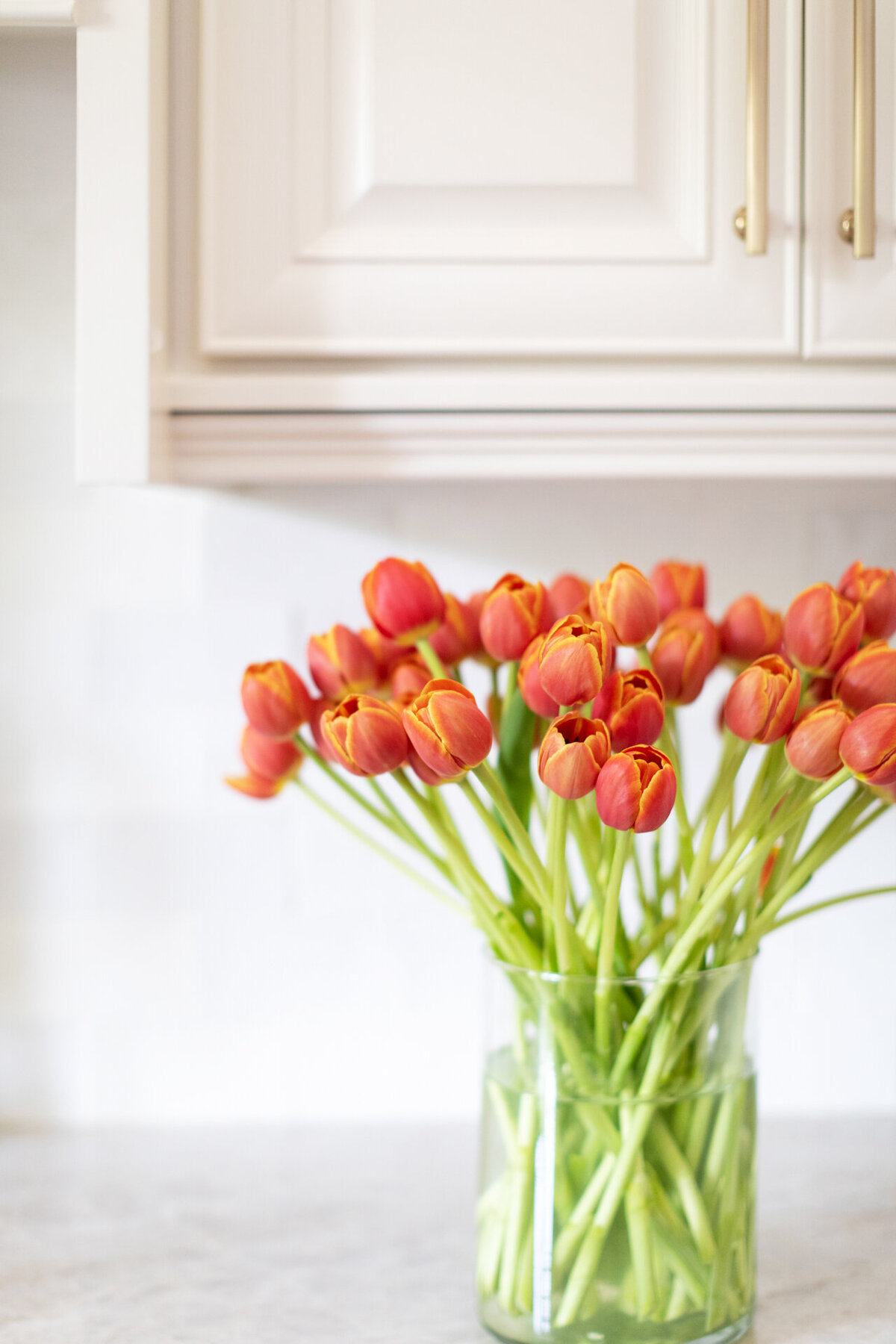 Morse-Design-Atlanta-Interior-Designer-22