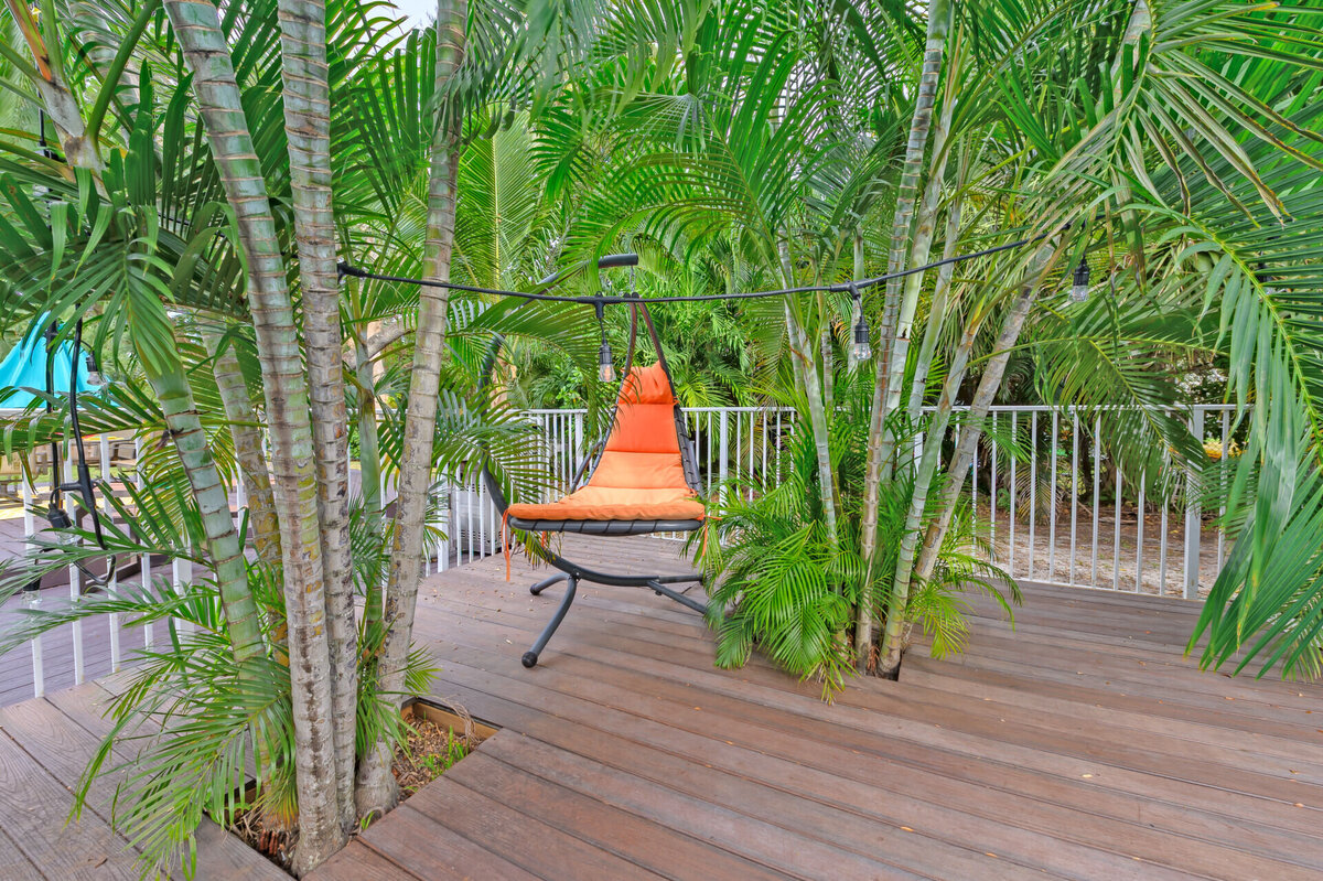 Backyard (7)