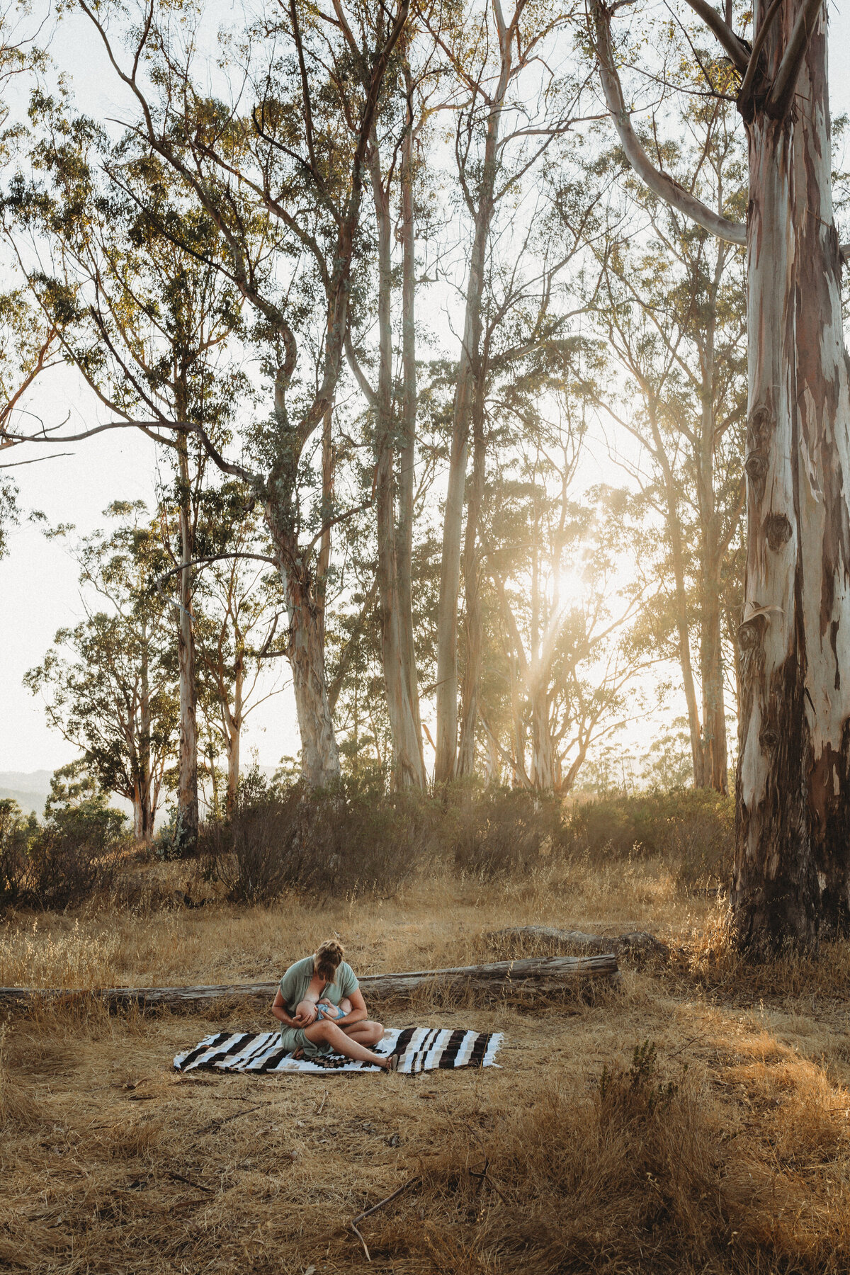 skyler maire photography - sorich park newborn photos, marin county newborn photographer, bay area newborn photographer-8881