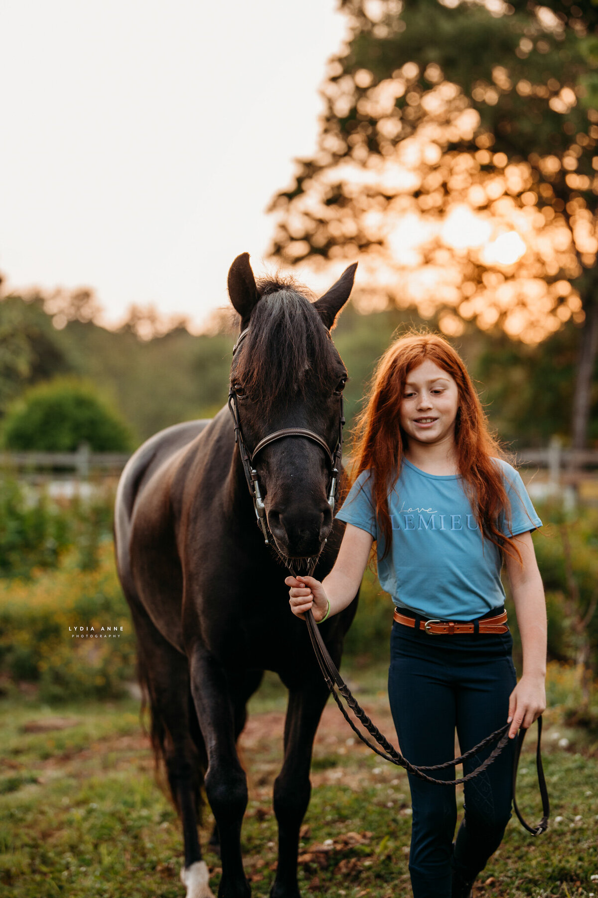 Create timeless equestrian portraits that celebrate your connection with horses in Rochester, NY. Our photography sessions are designed to capture the heart and soul of your equestrian passion. From picturesque outdoor settings to intimate barn portraits, we work closely with you to create a personalized session that reflects your unique style and love for riding. Whether you’re a seasoned competitor or a casual rider, our portraits will beautifully showcase your horse and your relationship. With attention to detail and expert photography techniques, our equestrian portraits make a perfect addition to any collection, home, or social media profile.
