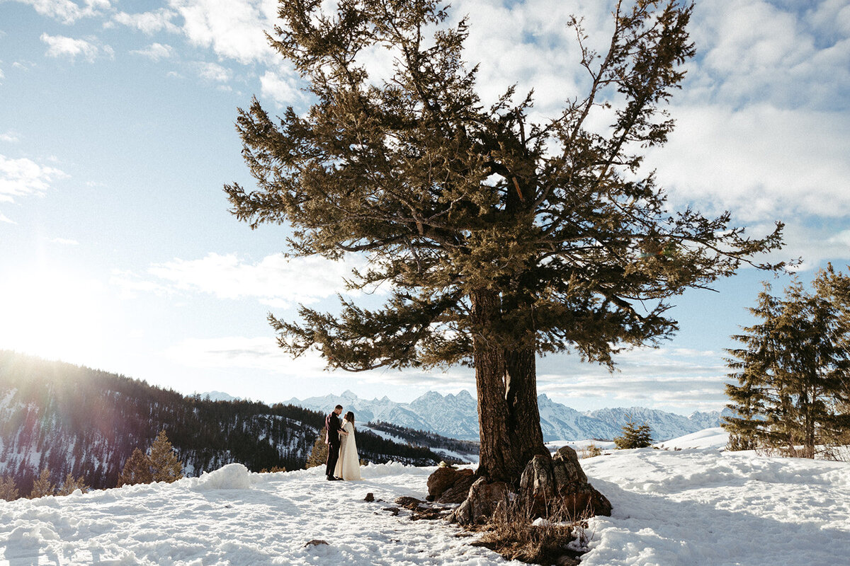 JacksonHole-DallinHassard-1366
