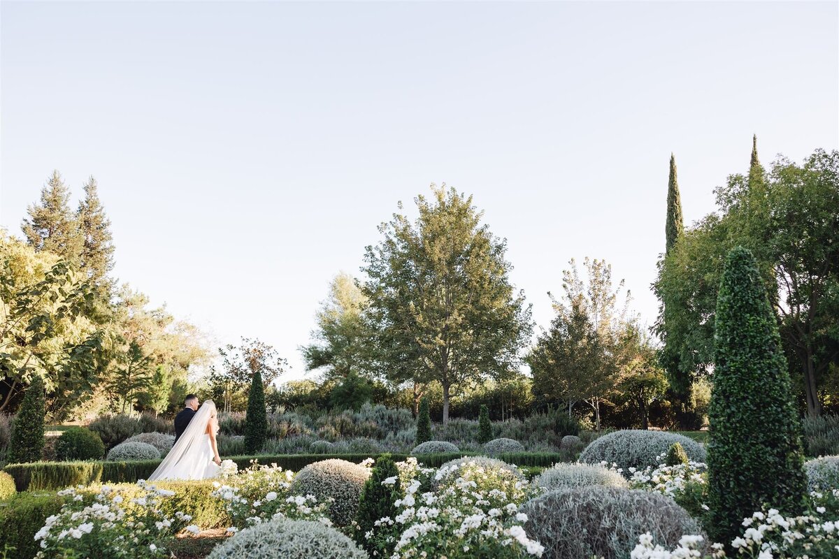 Park-Winters-wedding-Clay-Shauna-previews-ashley-carlascio-photography-0102_websize
