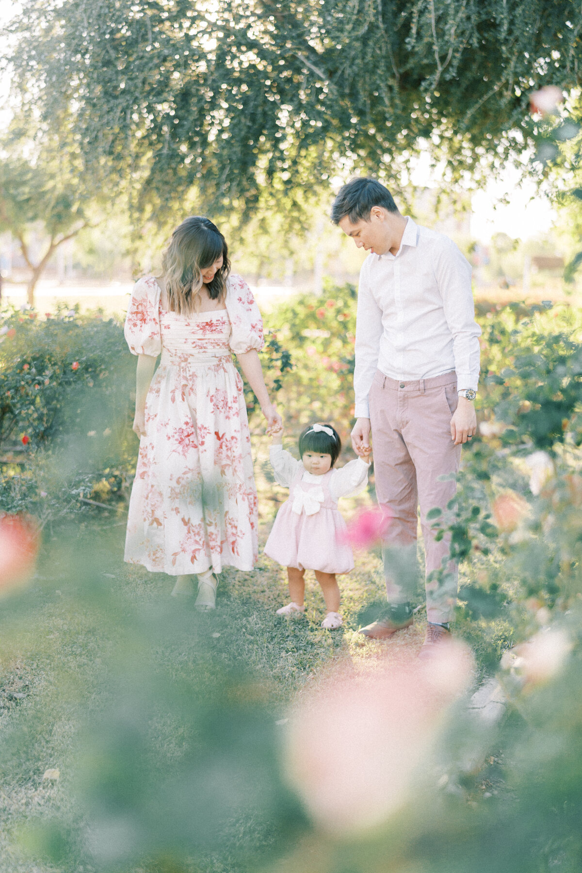 mom and dad holding little girls hand walking in a rose garden.