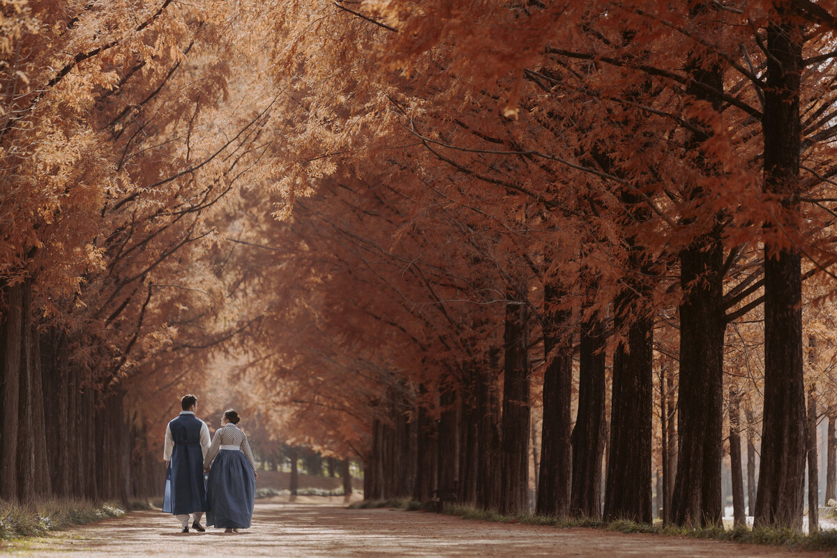 the bride and groom wearing hanbok while walking in metasequoia road during autumn