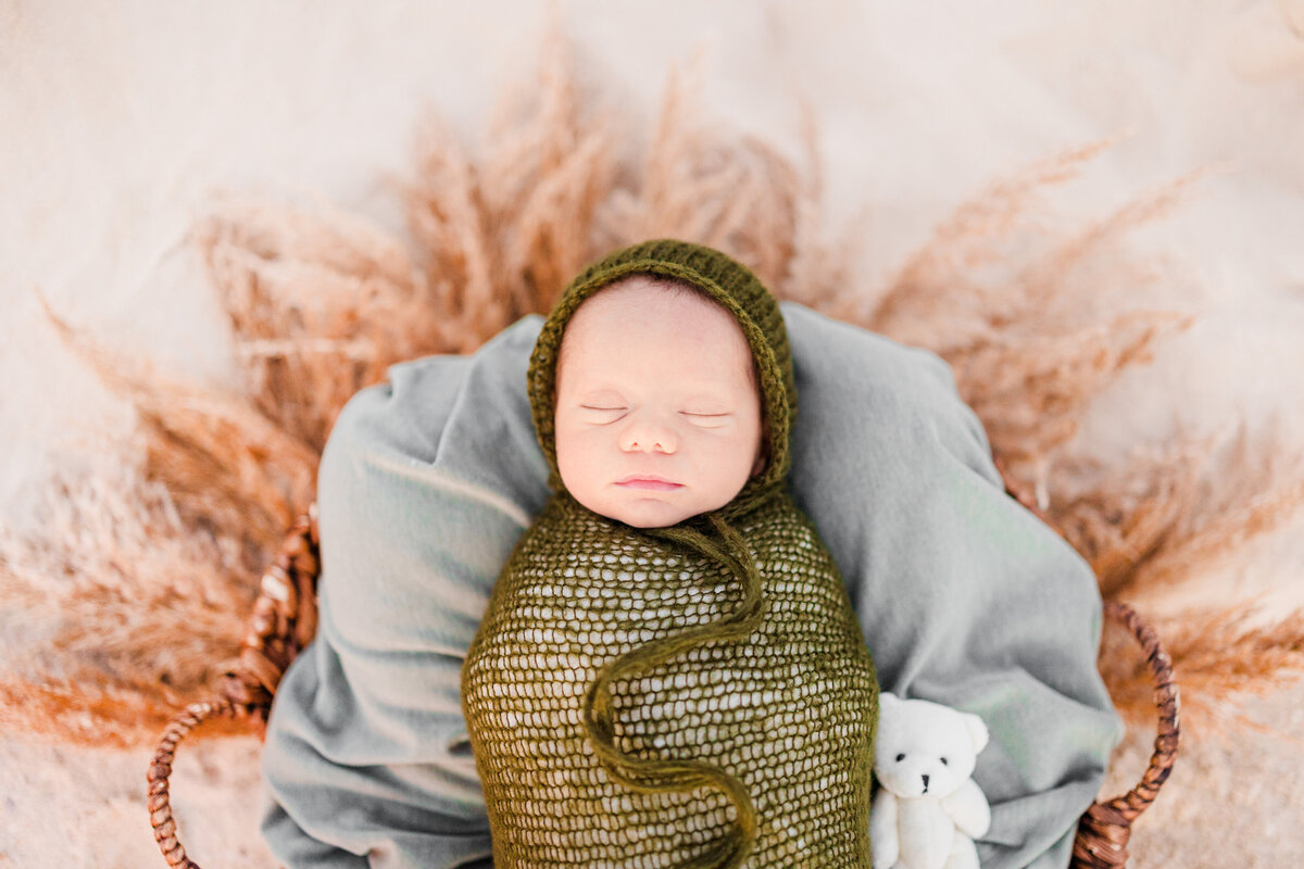 Florida Newborn Beach Photos-8