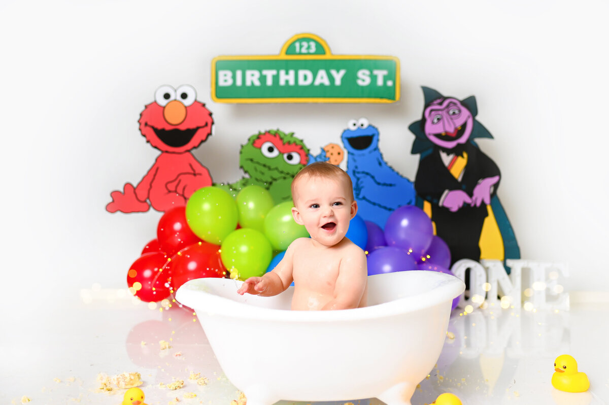 Sesame Street CakeSmash11